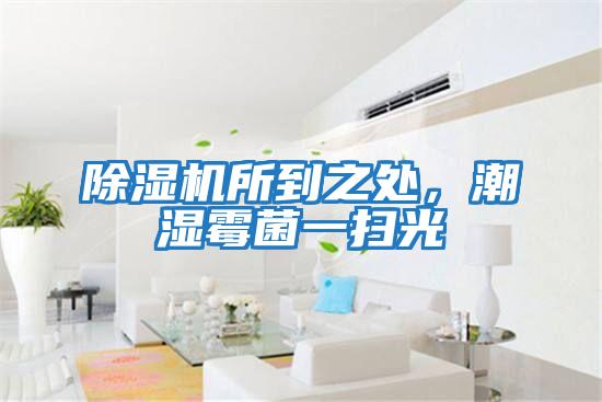 除濕機所到之處，潮濕霉菌一掃光