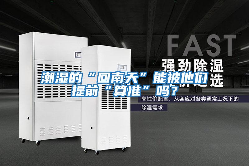 潮濕的“回南天”能被他們提前“算準”嗎？