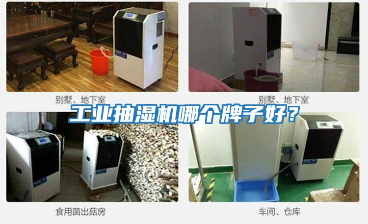 工業抽濕機哪個牌子好？