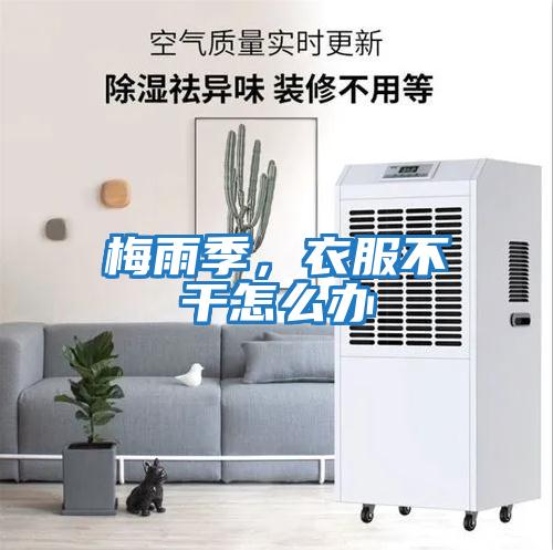 梅雨季，衣服不干怎么辦