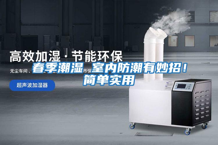 春季潮濕 室內(nèi)防潮有妙招！簡單實用