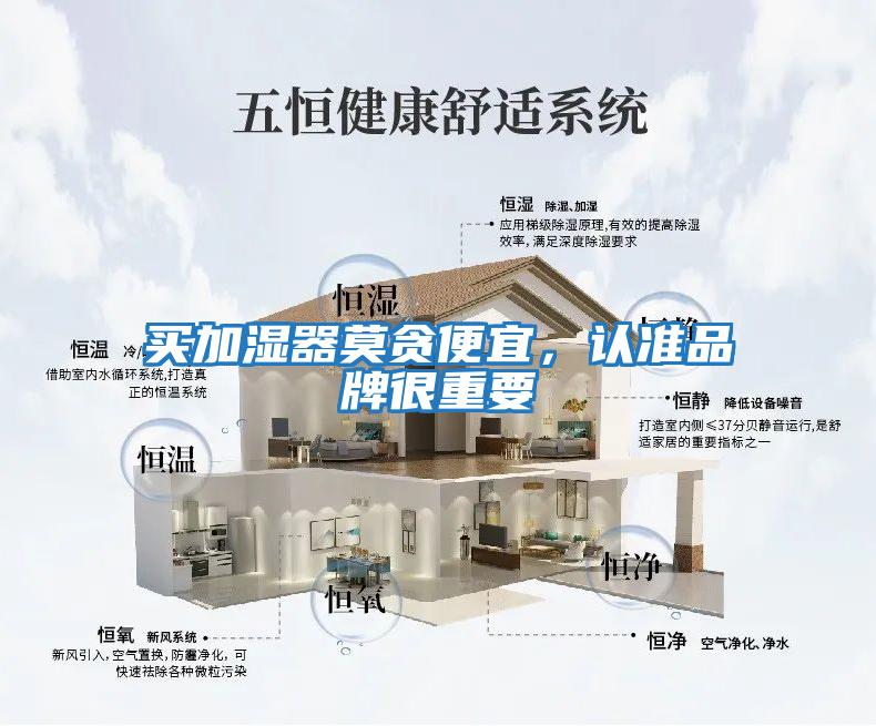 買加濕器莫貪便宜，認準品牌很重要
