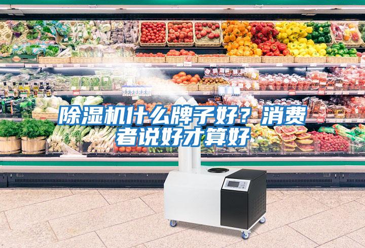 除濕機(jī)什么牌子好？消費(fèi)者說(shuō)好才算好