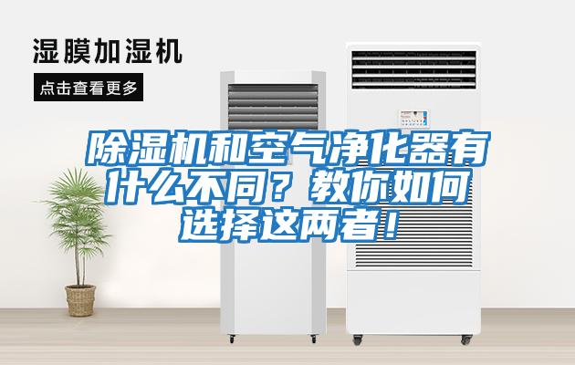 除濕機和空氣凈化器有什么不同？教你如何選擇這兩者！