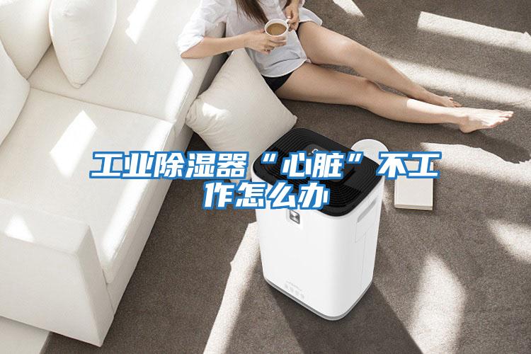工業除濕器“心臟”不工作怎么辦