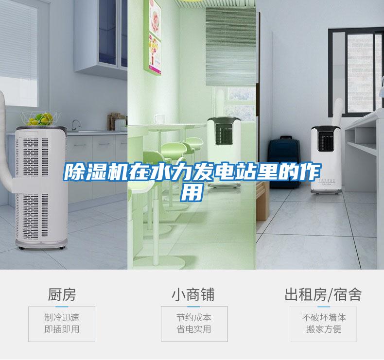 除濕機在水力發(fā)電站里的作用