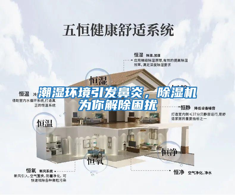 潮濕環(huán)境引發(fā)鼻炎，除濕機(jī)為你解除困擾