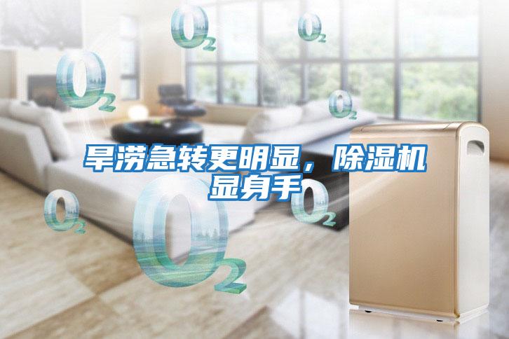 旱澇急轉更明顯，除濕機顯身手