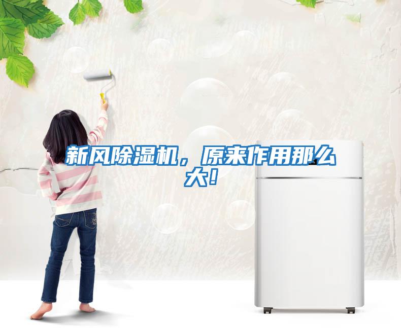 新風(fēng)除濕機(jī)，原來(lái)作用那么大！