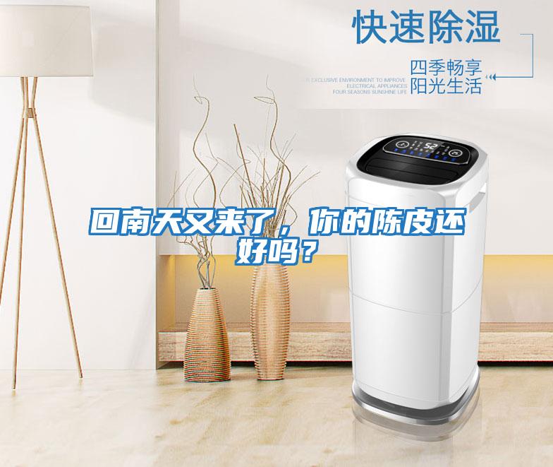 回南天又來了，你的陳皮還好嗎？