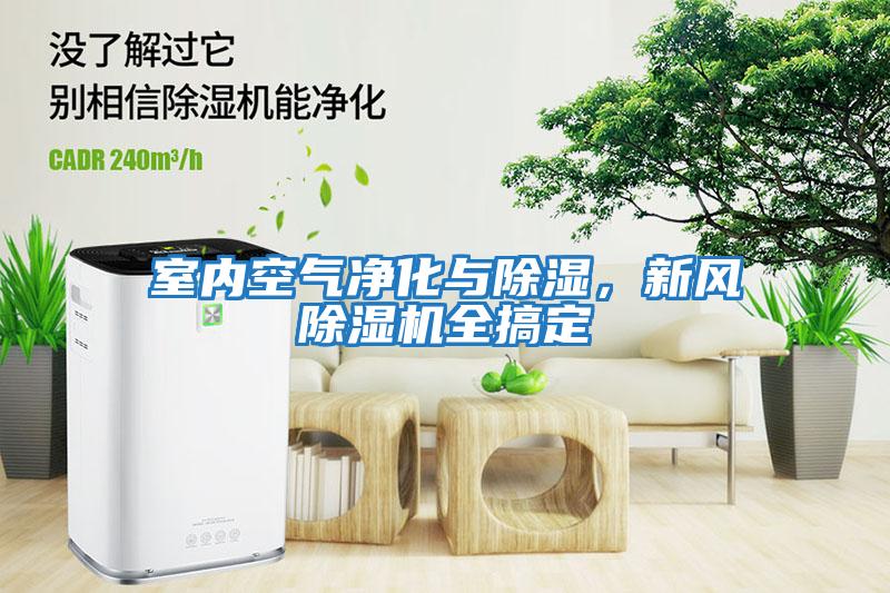 室內(nèi)空氣凈化與除濕，新風(fēng)除濕機(jī)全搞定