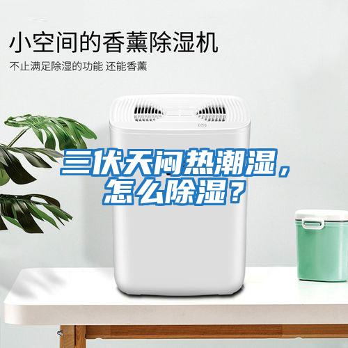 三伏天悶熱潮濕，怎么除濕？