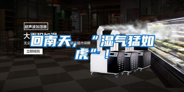 回南天，“濕氣猛如虎”！