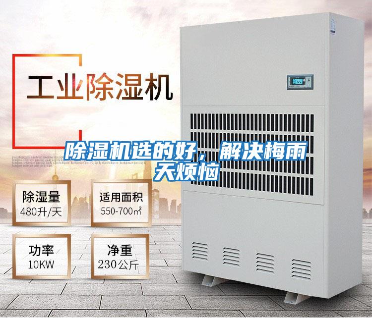 除濕機選的好，解決梅雨天煩惱