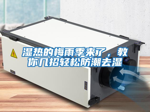 濕熱的梅雨季來(lái)了，教你幾招輕松防潮去濕