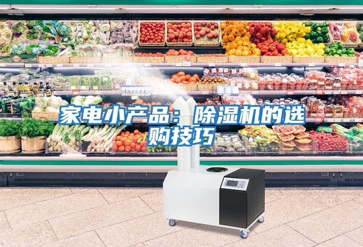 家電小產(chǎn)品：除濕機的選購技巧