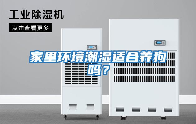 家里環境潮濕適合養狗嗎？