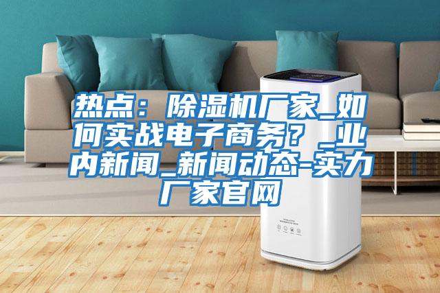熱點(diǎn)：除濕機(jī)廠家_如何實(shí)戰(zhàn)電子商務(wù)？_業(yè)內(nèi)新聞_新聞動(dòng)態(tài)-實(shí)力廠家官網(wǎng)