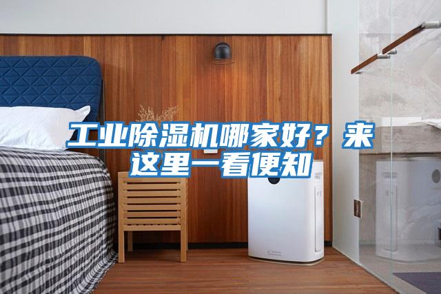 工業(yè)除濕機(jī)哪家好？來(lái)這里一看便知