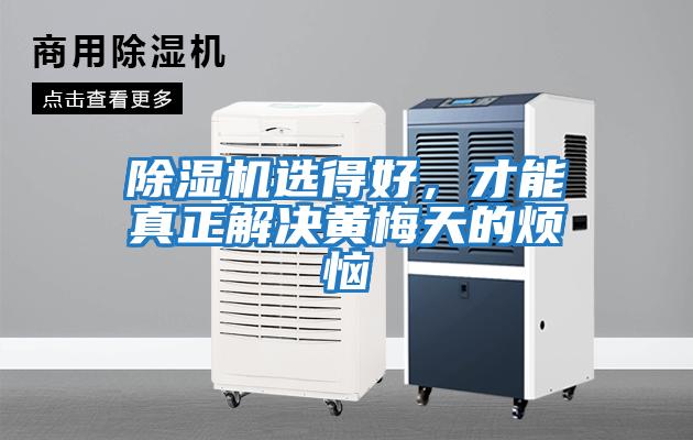 除濕機(jī)選得好，才能真正解決黃梅天的煩惱