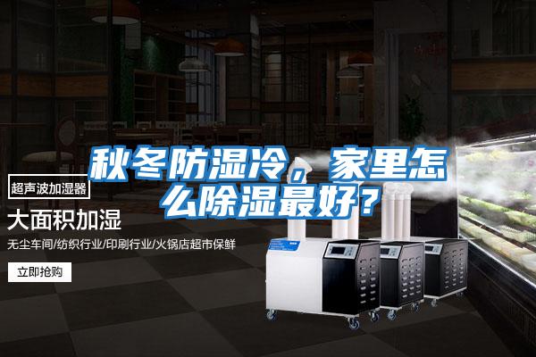 秋冬防濕冷，家里怎么除濕最好？