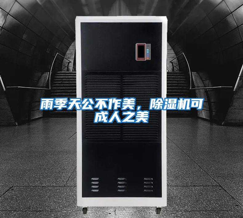 雨季天公不作美，除濕機可成人之美