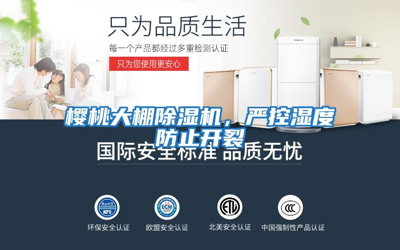 櫻桃大棚除濕機(jī)，嚴(yán)控濕度防止開(kāi)裂