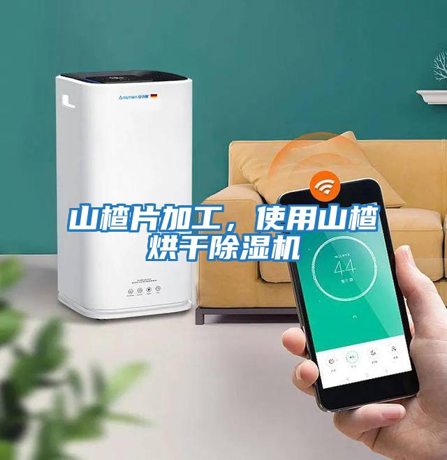 山楂片加工，使用山楂烘干除濕機