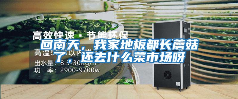 回南天，我家地板都長蘑菇了，還去什么菜市場呀