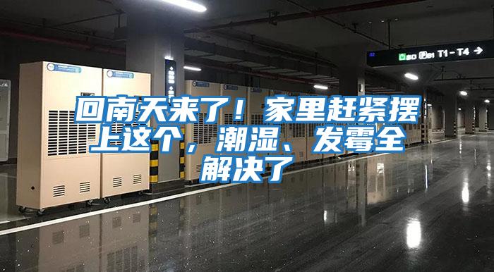 回南天來了！家里趕緊擺上這個(gè)，潮濕、發(fā)霉全解決了