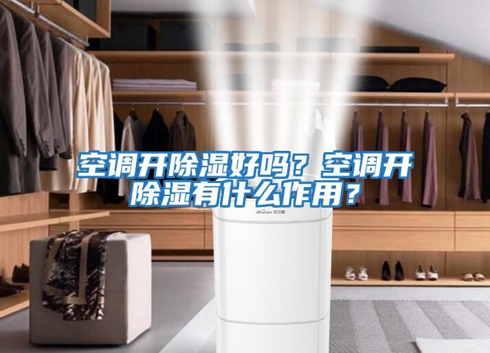 空調(diào)開(kāi)除濕好嗎？空調(diào)開(kāi)除濕有什么作用？