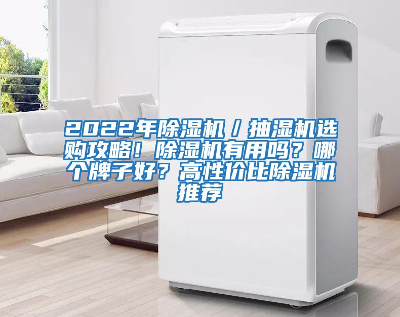 2022年除濕機(jī)／抽濕機(jī)選購(gòu)攻略！除濕機(jī)有用嗎？哪個(gè)牌子好？高性?xún)r(jià)比除濕機(jī)推薦