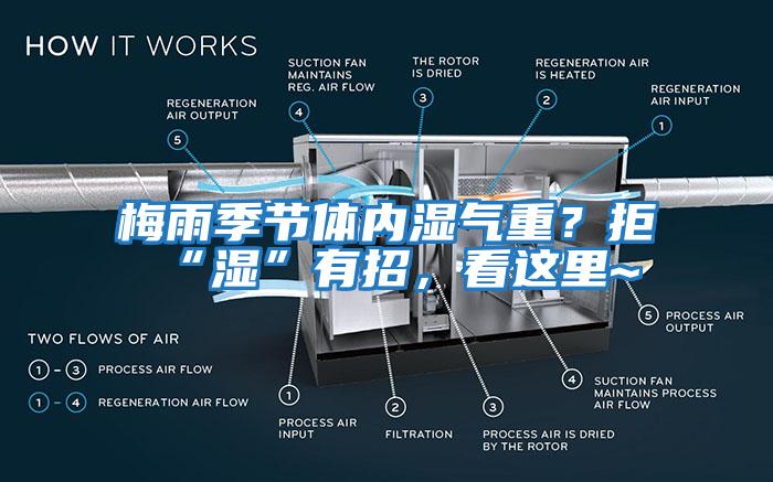 梅雨季節(jié)體內(nèi)濕氣重？拒“濕”有招，看這里~