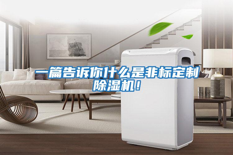 一篇告訴你什么是非標(biāo)定制除濕機(jī)！