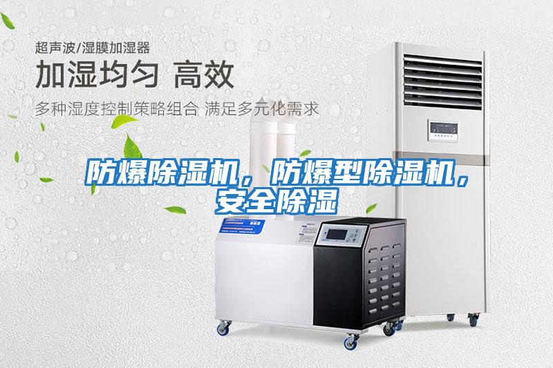 防爆除濕機，防爆型除濕機，安全除濕