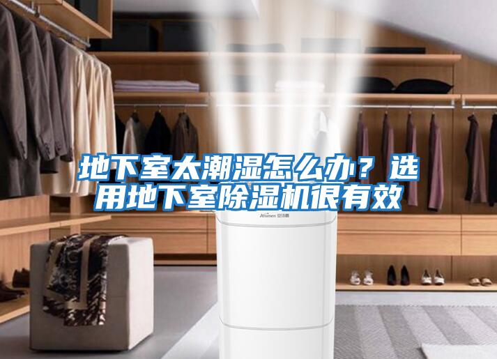 地下室太潮濕怎么辦？選用地下室除濕機很有效