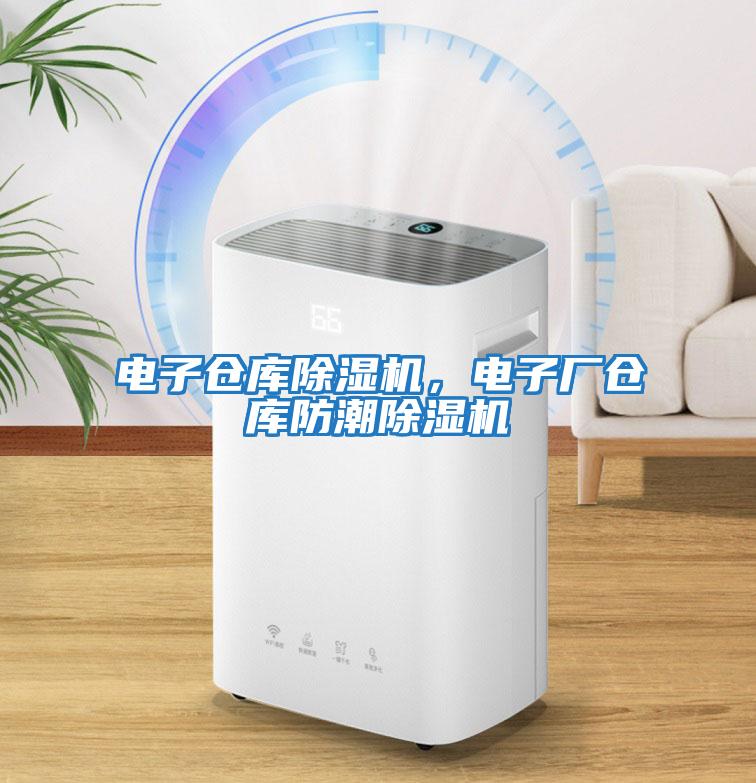 電子倉(cāng)庫(kù)除濕機(jī)，電子廠倉(cāng)庫(kù)防潮除濕機(jī)