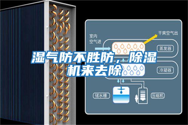 濕氣防不勝防，除濕機來去除
