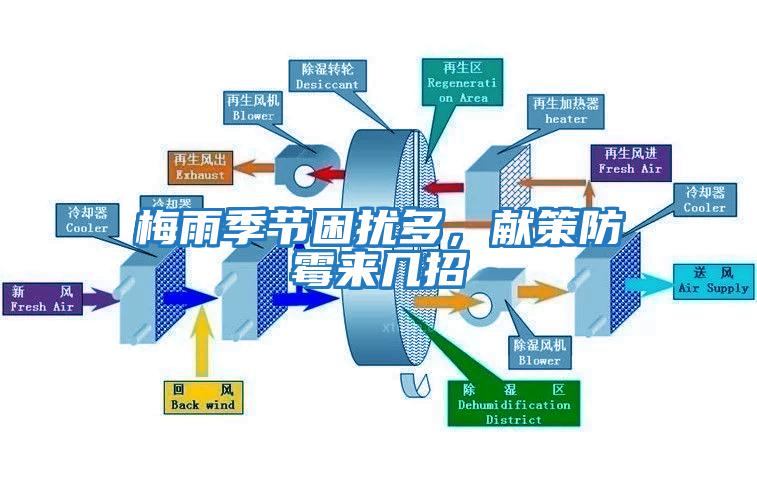 梅雨季節困擾多，獻策防霉來幾招