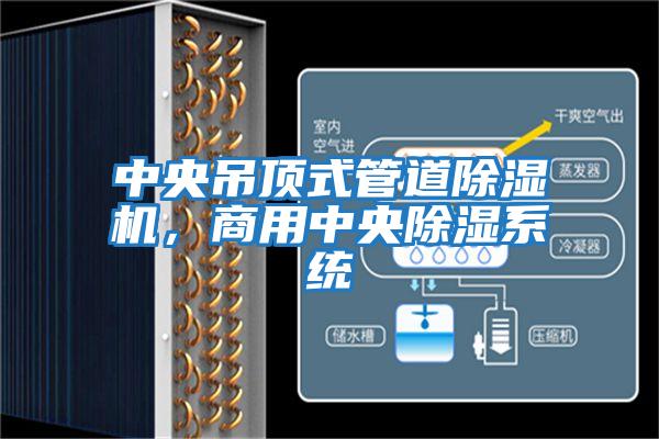中央吊頂式管道除濕機，商用中央除濕系統