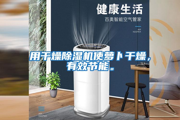 用干燥除濕機使蘿卜干燥，有效節能。
