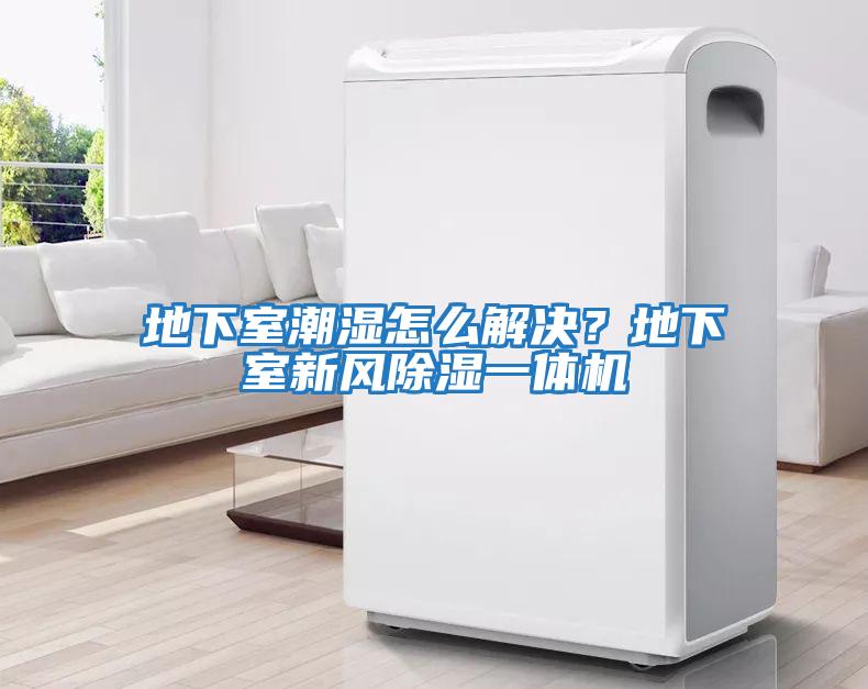 地下室潮濕怎么解決？地下室新風除濕一體機