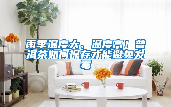 雨季濕度大、溫度高！普洱茶如何保存才能避免發(fā)霉
