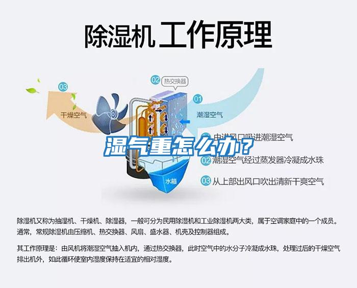 濕氣重怎么辦？