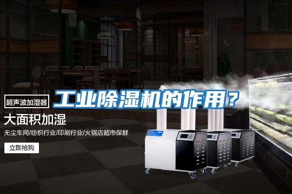 工業(yè)除濕機(jī)的作用？