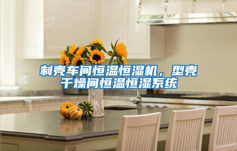 制殼車間恒溫恒濕機(jī)，型殼干燥間恒溫恒濕系統(tǒng)