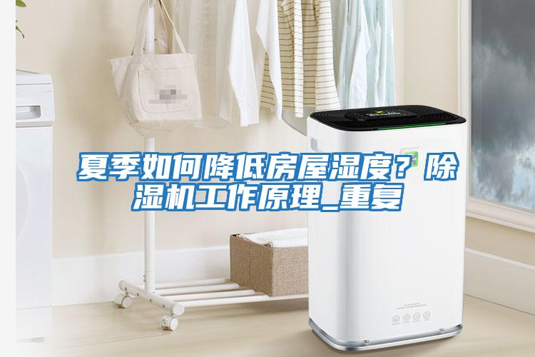 夏季如何降低房屋濕度？除濕機工作原理_重復(fù)