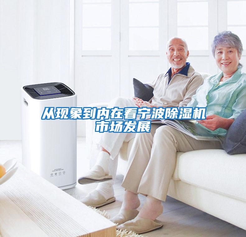 從現(xiàn)象到內(nèi)在看寧波除濕機(jī)市場(chǎng)發(fā)展