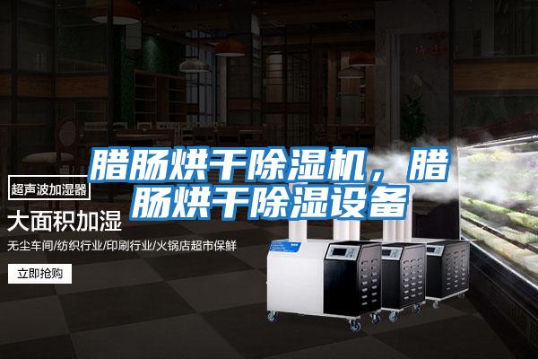 臘腸烘干除濕機，臘腸烘干除濕設(shè)備