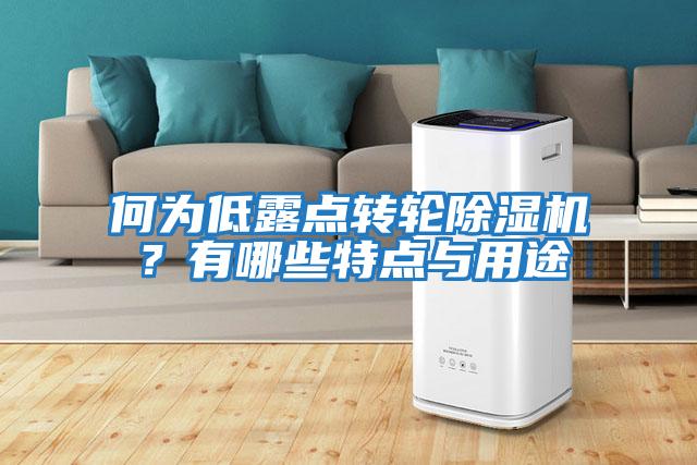 何為低露點(diǎn)轉(zhuǎn)輪除濕機(jī)？有哪些特點(diǎn)與用途